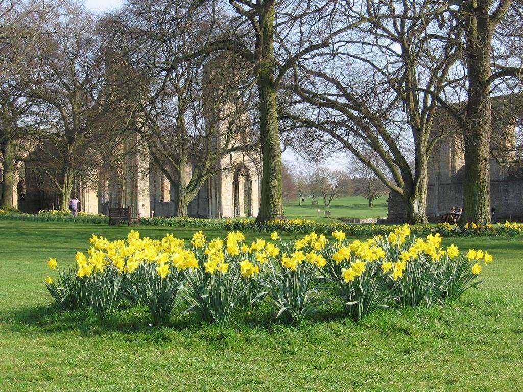 Chalice Lodge Glastonbury Luaran gambar